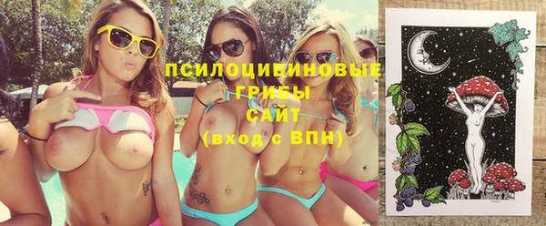 гашик Белоозёрский