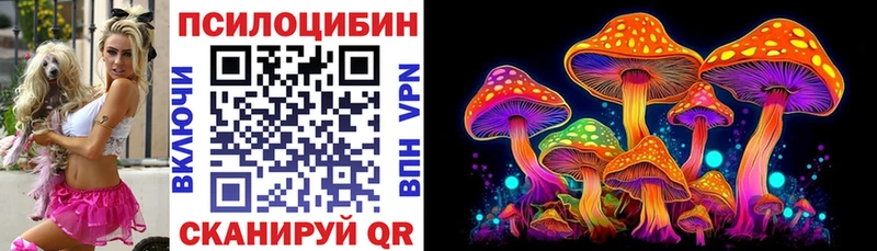 Купить где  Аргун  Псилоцибиновые грибы Magic Shrooms 