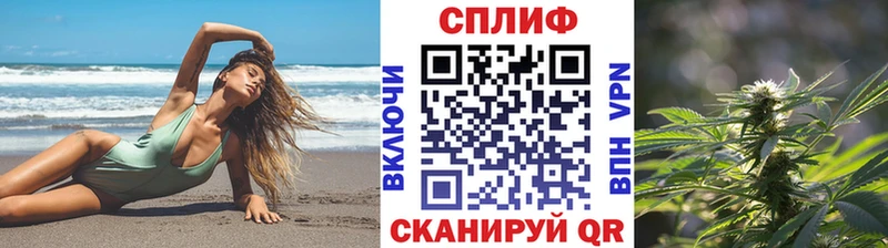 Купить закладки  Аргун  Марихуана тримм 